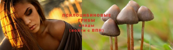 а пвп мука Киренск