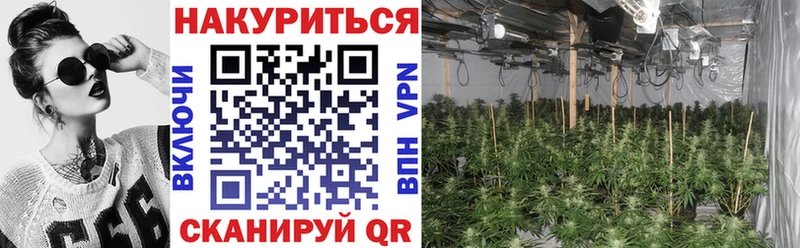 Бошки Шишки OG Kush  Купить где  Чаплыгин 